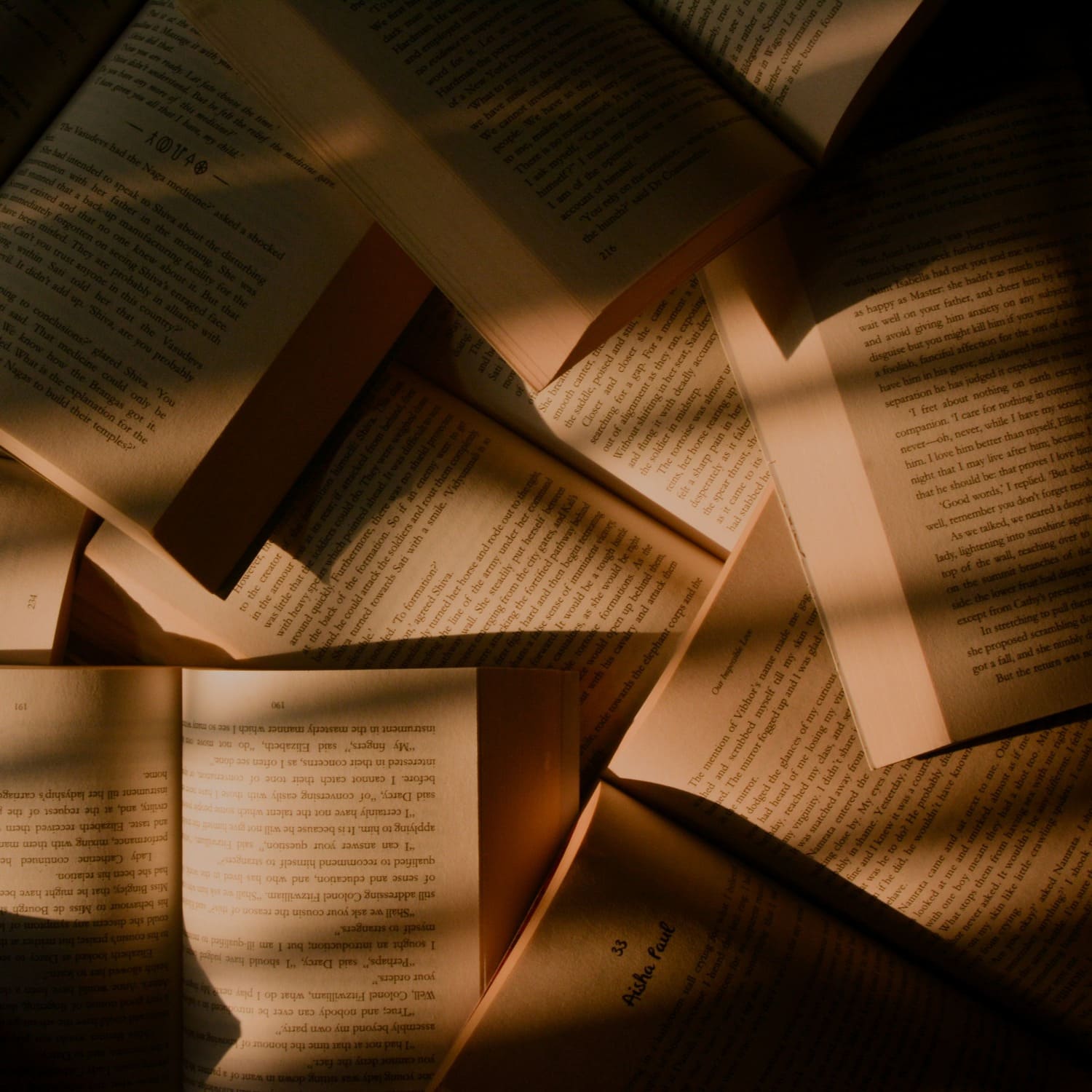 Bücher erleben Augsbuch